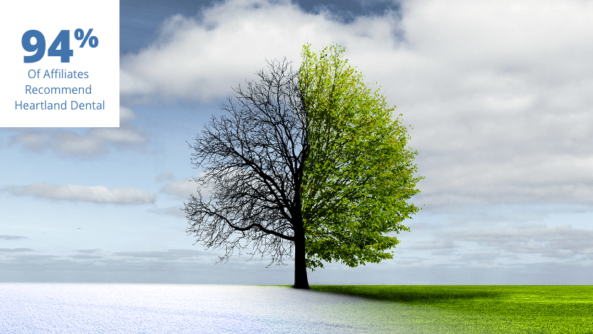 Tree standing alone in a field. The left side is bare, the right side has green leaves.